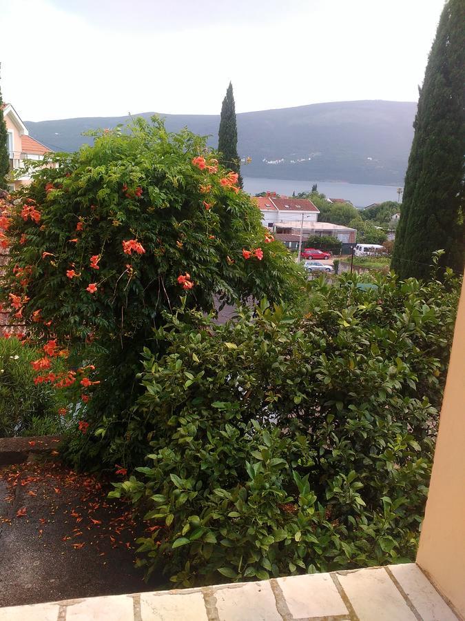 Sobe Baosici Marina Hotel Herceg Novi Eksteriør billede